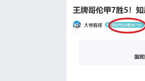 2025年中国路跑概览：直观图解